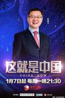布朗宁版本